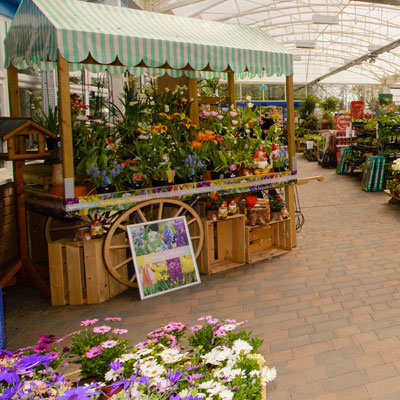 We're not just a garden centre!